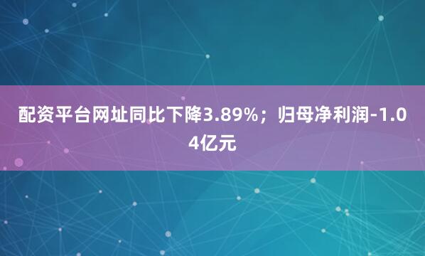 配资平台网址同比下降3.89%；归母净利润-1.04亿元
