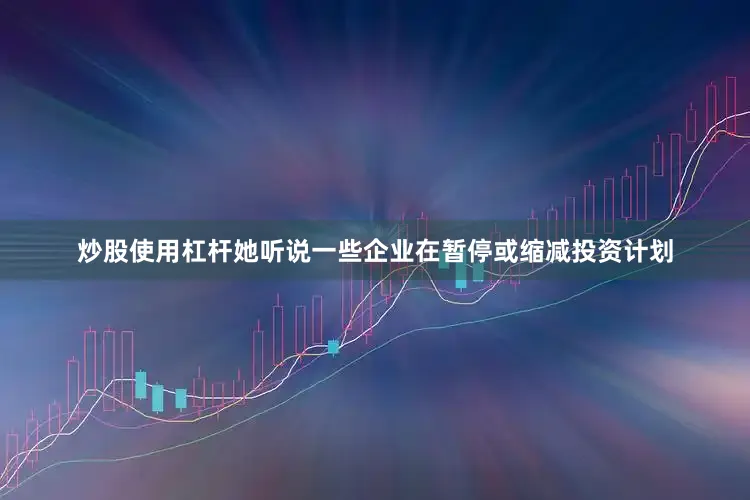 炒股使用杠杆她听说一些企业在暂停或缩减投资计划