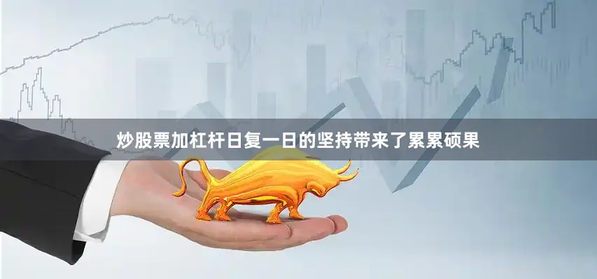 炒股票加杠杆日复一日的坚持带来了累累硕果