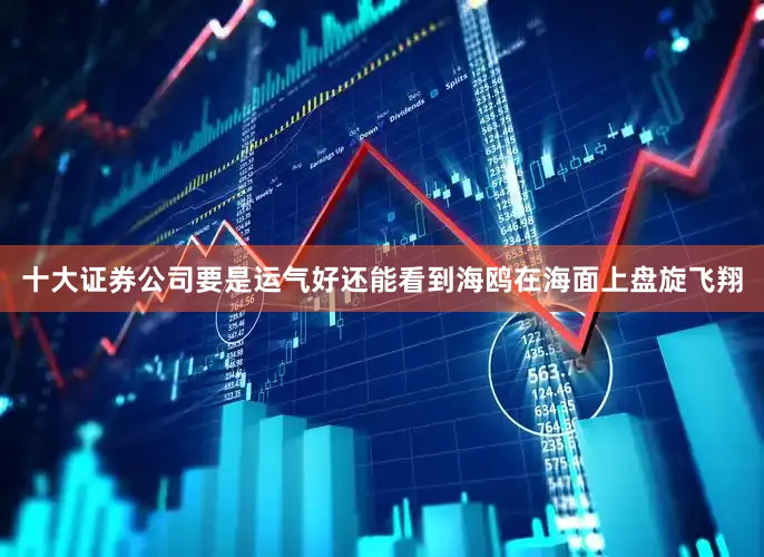 十大证券公司要是运气好还能看到海鸥在海面上盘旋飞翔