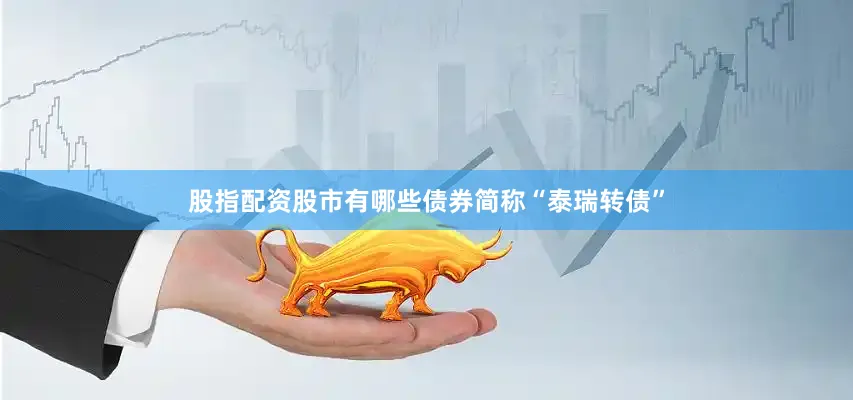 股指配资股市有哪些债券简称“泰瑞转债”