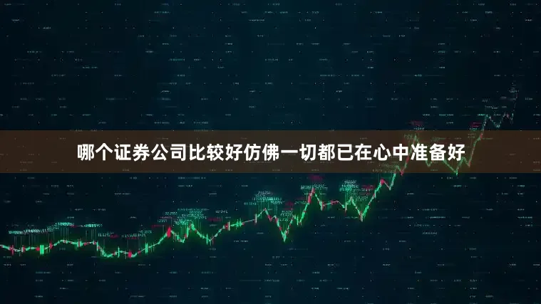 哪个证券公司比较好仿佛一切都已在心中准备好