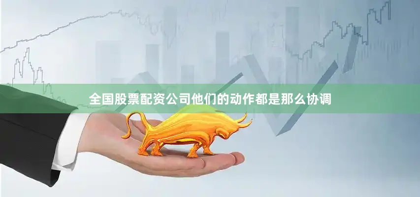 全国股票配资公司他们的动作都是那么协调